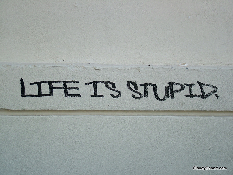 life is stupid
